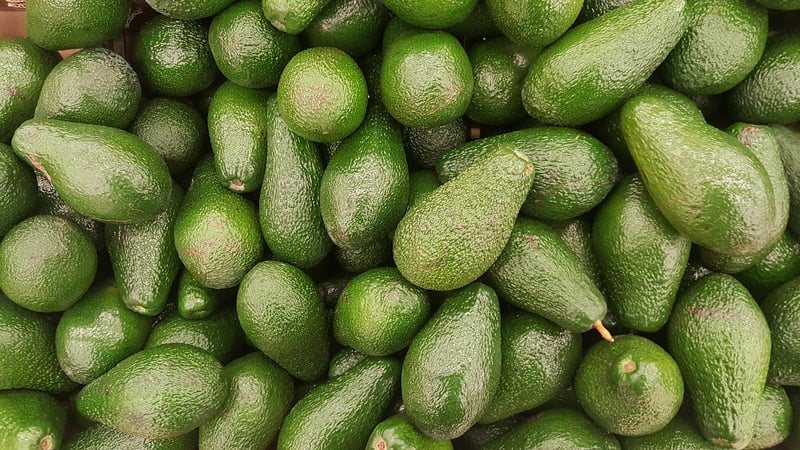 Avocado Chickpea Wrap
